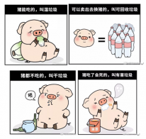 是什么让德国泰迪熊纸尿裤迫不及待赶去上海体验垃圾分类?