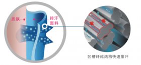 小蓝象的功能性纤维与传统的纯棉相比，哪种面料更适合多汗孩子?