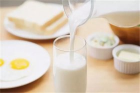 红星美羚乳业|带你认识真正好羊奶的营养价值