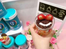 100%全羊乳蛋白 菌小宝再塑羊奶粉新营养