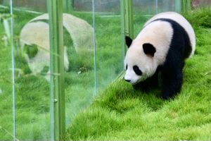 图片9.jpg