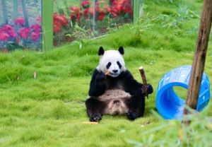 图片7.jpg