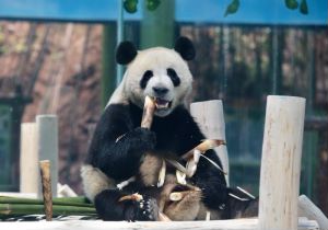 图片10.jpg