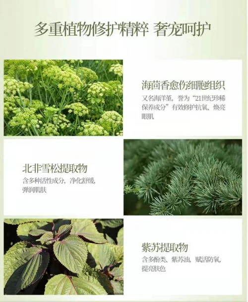 植迷荟眼部精华